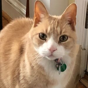 Meet your Posher, Heidi